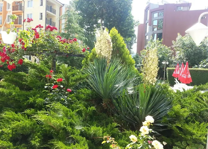 Deva Hotell Slăntjev Brjag