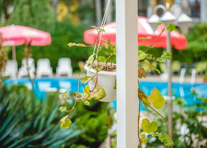 Deva Slăntjev Brjag